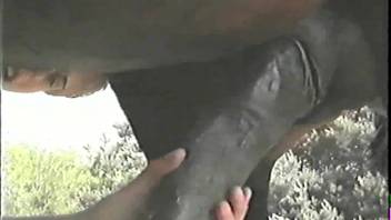 Horny whore adores delivering messy oral sex to enormous equine cocks