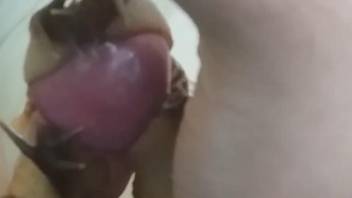 Dude places snails on his cock and cums real quick