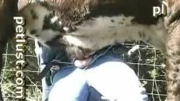 Sexy dude fucking a sexier cow in an outdoor porn video