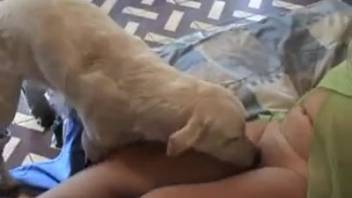 Average-sized canine penetrates voluptuous woman's rear and drives her to extreme arousal