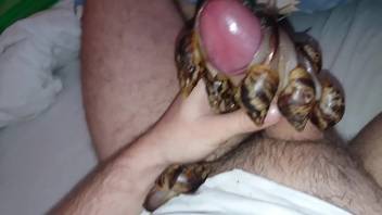 Guy's dick is satisfied by multiple snails