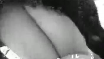 Homemade amateur clips of domestic bestiality featuring a nude aroused wife
