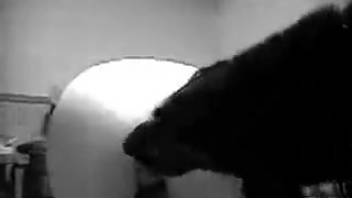 Canine thrusts into stunning lady through her two narrow openings
