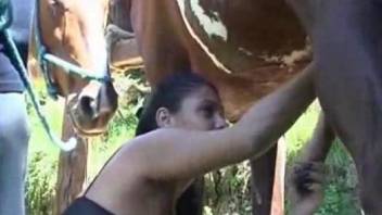 Country girl decides to enjoy some oral with a horse
