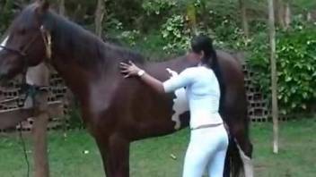 Stunning Latina with a ponytail jerks a horse's cock