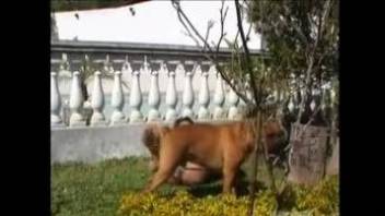 Midget-like Latina fingers herself and blows a dog