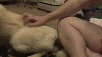 Excited guy is screwing his gorgeous female dog on the ground