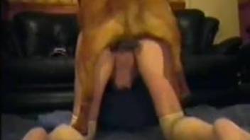 Dog fucks female master until it cums in her tight pussy