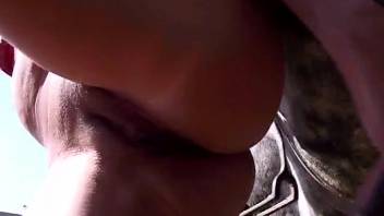 Dark-haired girl 18+ with ponytail deep throats a huge stallion dick in a threesome