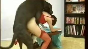 Two stunning chicks are blowing a dog's rigid cock
