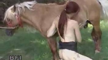 Redheaded beauty fucking a horse in an outdoor vid