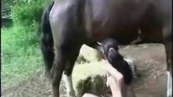 Bare beginner bestiality video featuring a stripped whore and her stallion