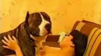 Horny dog shoves its big dick in a brunette's pussy