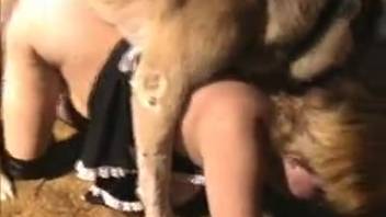 Overweight, fetish-loving maid takes control of her animal-obsessed husband