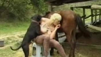 Busty blonde enjoys sex with both a horse and a dog