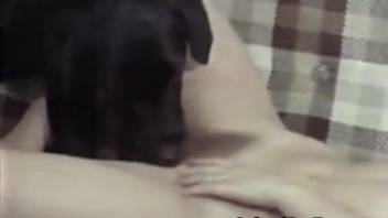 Blonde woman fucks her eager boyfriend and his attractive dog