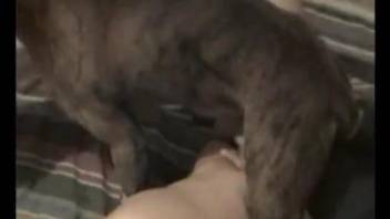 Horny woman tries hard sex with her dog in home zoophilia