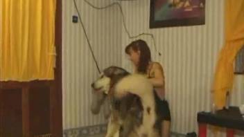Leggy zoophile chick getting fucked by her fave pet