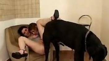 Two lesbian babes are having fun with a black dog