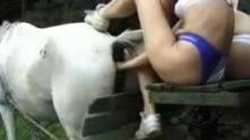 Skinny slut fist fucks horse then plays with her pussy