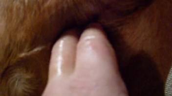 Mischievous guy enjoys digitally penetrating beasts live on webcam