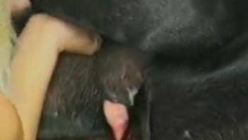 Sexy women doing their best to cum during zoo sex