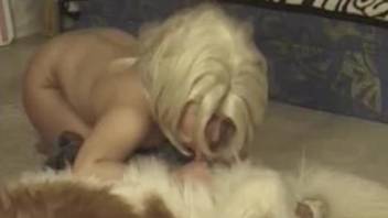 Wig-wearing amateur sucking on a dog's huge cock