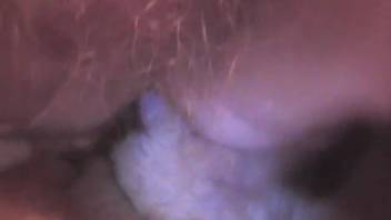 Intimate shot of a guy deeply penetrating beasts in the rear