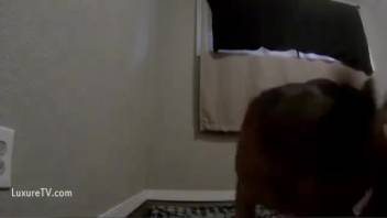 Dark-haired woman screwed by the canine on live webcam bestiality session with her husband