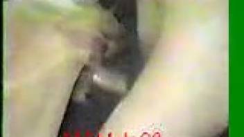 Enthusiastic animal enthusiast steers his shaft into the pooch's tempting orifice