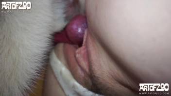 粉紅陰道美女被興奮的狗狗上