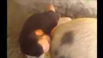Horned-up guy buries his face in a pig's pretty pussy