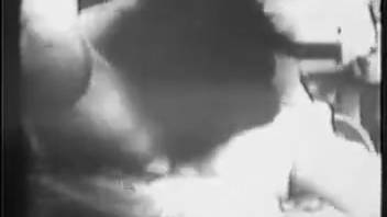 Classic adult film featuring a pair of promiscuous vixens who have sex with animals
