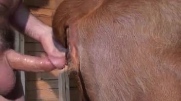 Guy's throbbing, veiny dick slides perfectly into that tight pussy