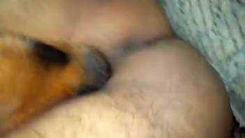 Attractive figure gags on a substantial cock in a first-person explicit video