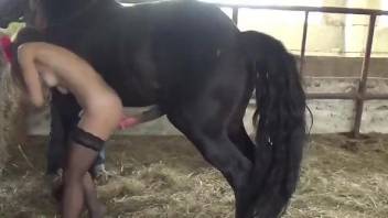 Black stockings babe finds horse cocks irresistible