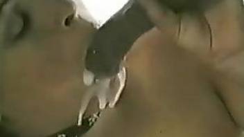 Collared chick worships that horse dick on camera