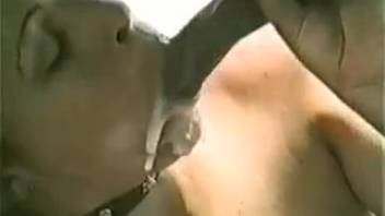 Leashed babe adores that massive stallion cock on video