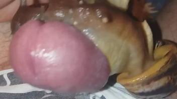 Dude with a beautiful uncut cock fucking snails in POV