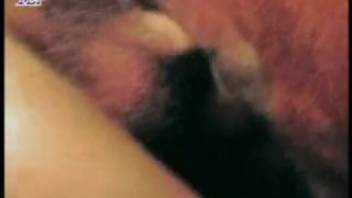 Aroused guy wants to deeply screw this heifer and record himself