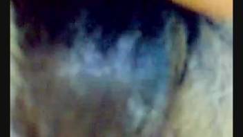 Hot animal vagina hammered by a super hairy dick