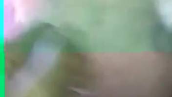 Steamy bestiality slit being pounded super deep and rough