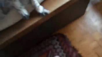 Incredible POV adult film featuring an extremely hot beast
