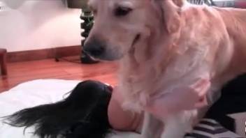 Hot brunette is thrilled to finally slide that dog dick into her pussy