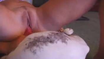 Limber chick getting pounded by a black canine's cock