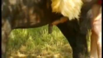 Collective horse-involved explicit video