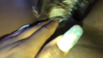 Beast devouring her pussy in POV and getting her to climax as well