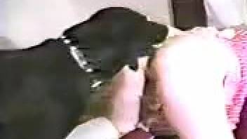 Ebony canine pounding that snug vagina doggy-style, maximum power