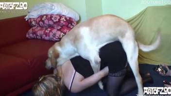 Blond-haired babe in black stockings gets screwed by a dog