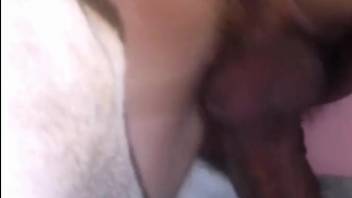 Bushy-dicked guy screwing this bitch's yummy snatch